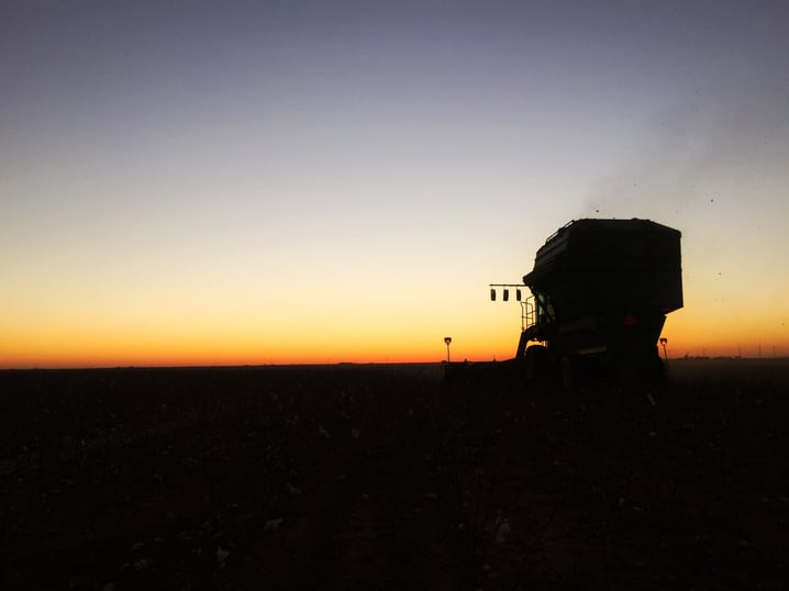 Sunset on the farm