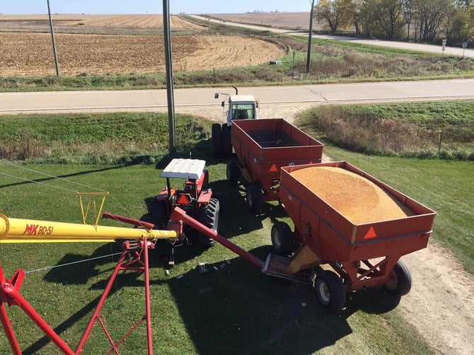 Harvest time on our farm