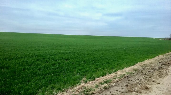 farm field in kansas