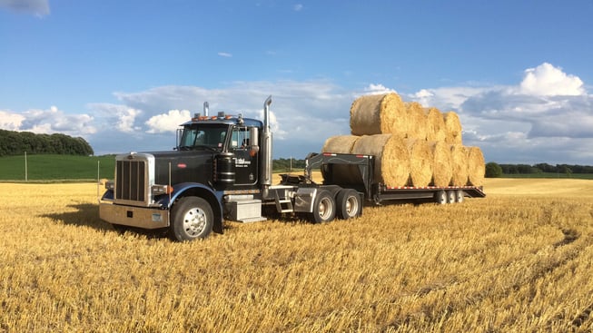 Hauling hay on Field Farms