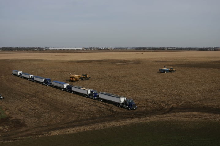 Harvesting on our farm