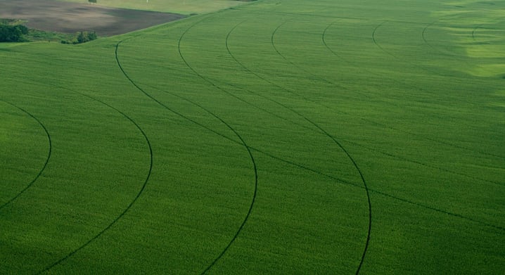 Aerial view of one of our fields