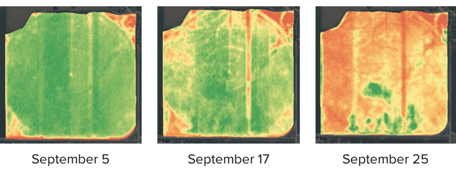 FarmLogs crop health imagery showing drydown