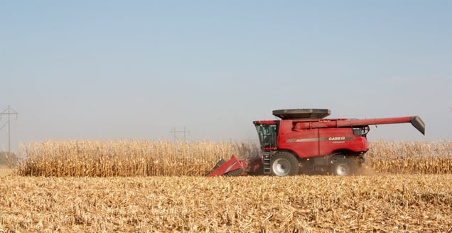 combine harvesting corn 