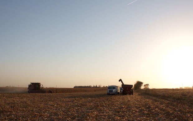 grain being loaded on truck during corn harvest