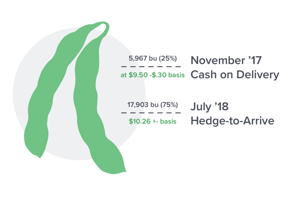 Soybean Sales